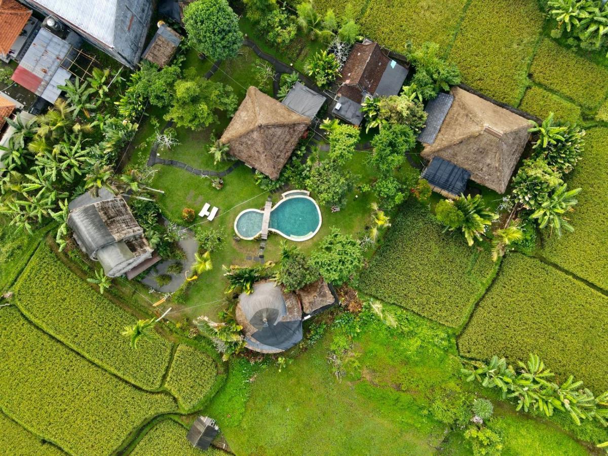 Ubud Hidden Villa Yone Village Zewnętrze zdjęcie
