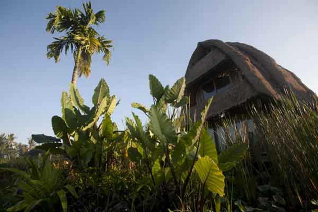 Ubud Hidden Villa Yone Village Zewnętrze zdjęcie