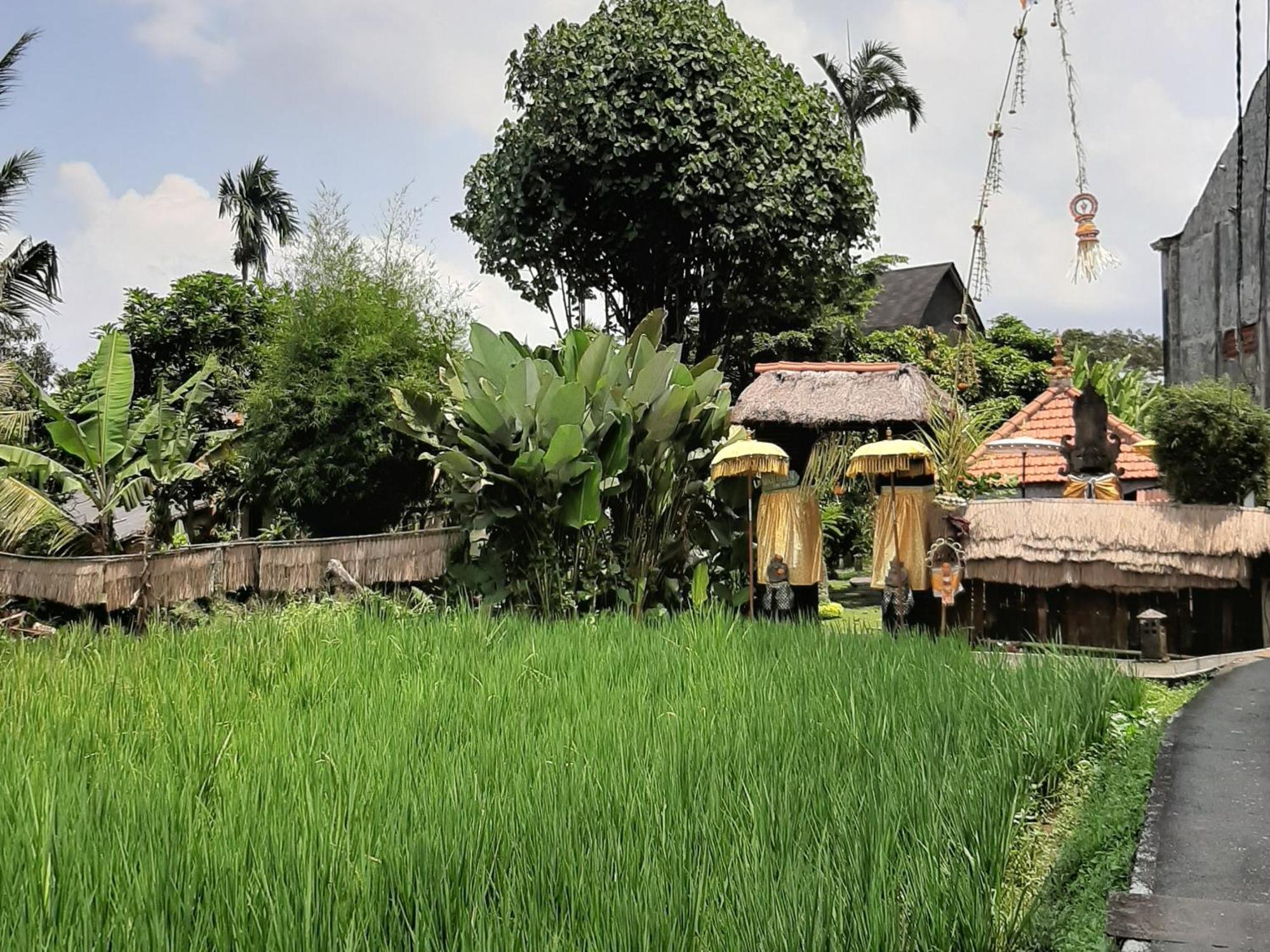 Ubud Hidden Villa Yone Village Zewnętrze zdjęcie