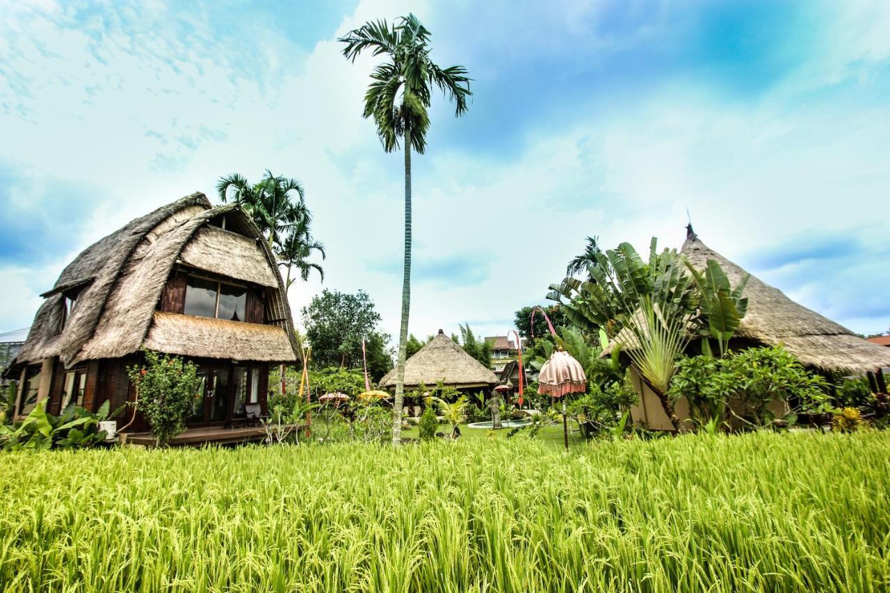 Ubud Hidden Villa Yone Village Zewnętrze zdjęcie